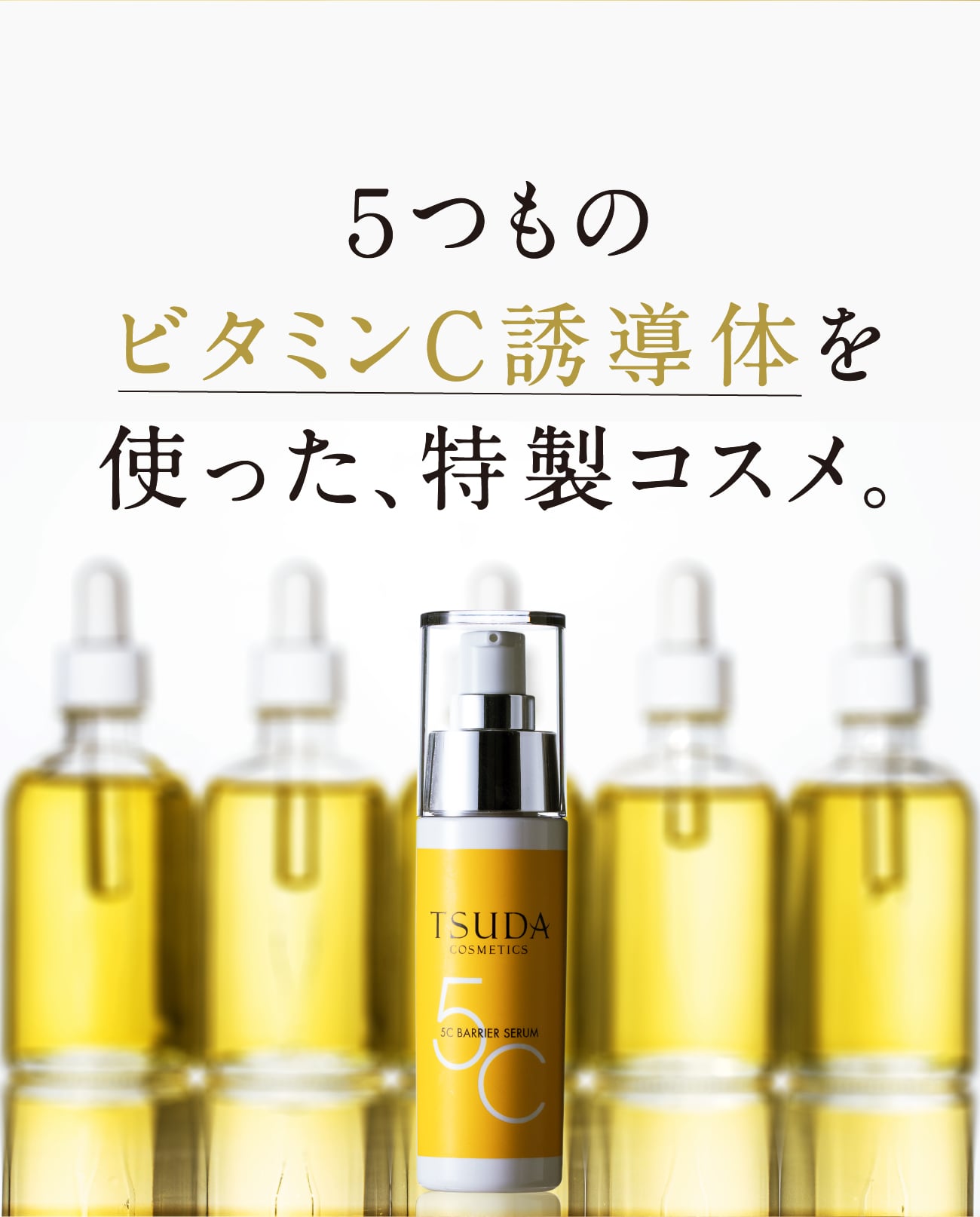 5Cバリアセラム