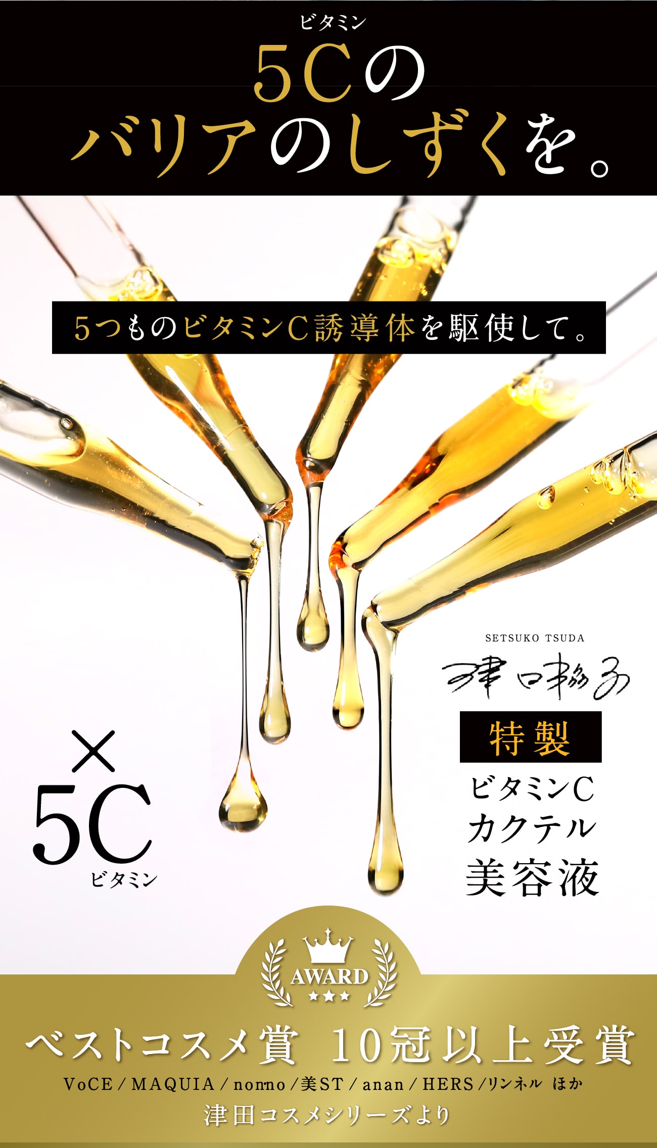 5Cバリアセラム