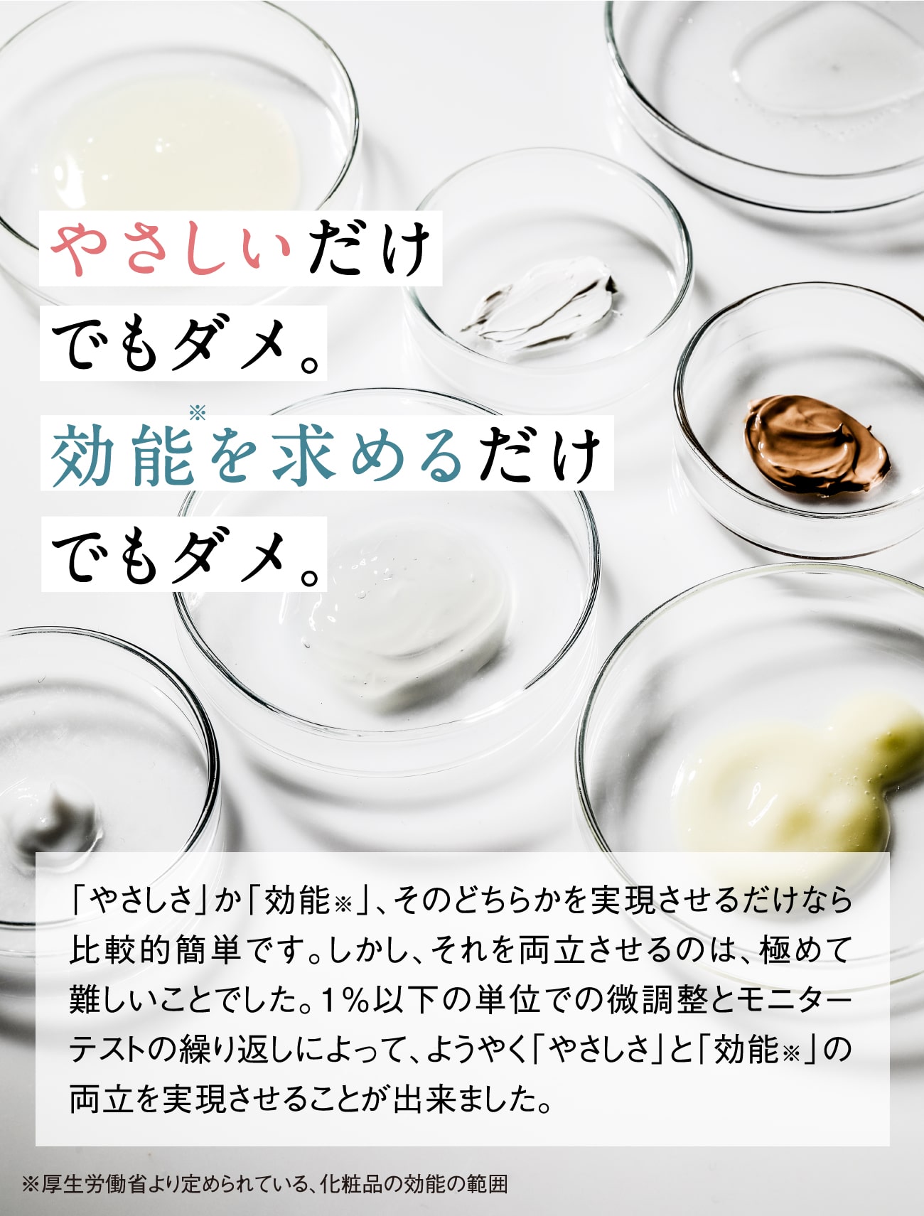 初めての方はこちら
